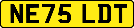 NE75LDT