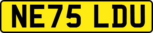 NE75LDU
