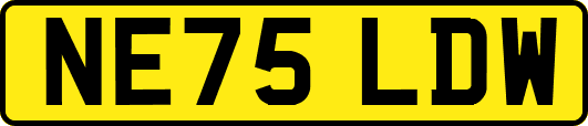 NE75LDW