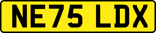 NE75LDX