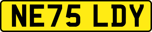 NE75LDY