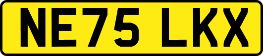NE75LKX
