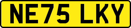 NE75LKY