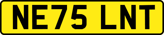 NE75LNT