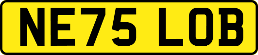 NE75LOB