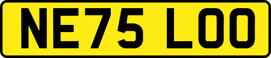 NE75LOO