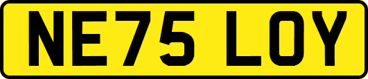 NE75LOY