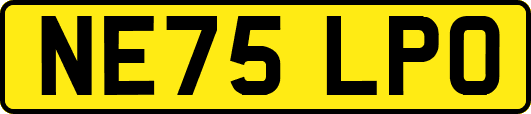 NE75LPO