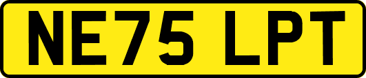 NE75LPT