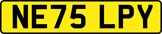 NE75LPY