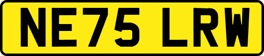 NE75LRW