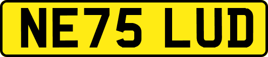 NE75LUD