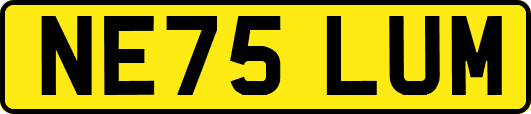 NE75LUM
