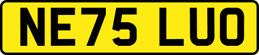 NE75LUO