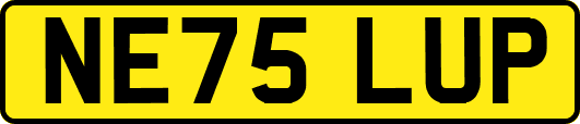 NE75LUP