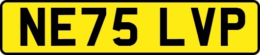 NE75LVP