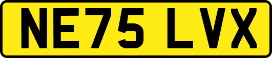 NE75LVX