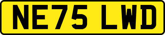 NE75LWD