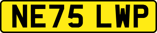 NE75LWP