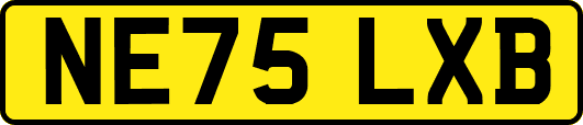 NE75LXB