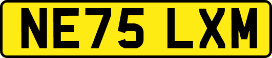 NE75LXM