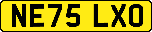 NE75LXO