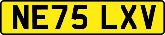 NE75LXV