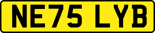 NE75LYB