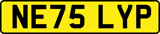 NE75LYP