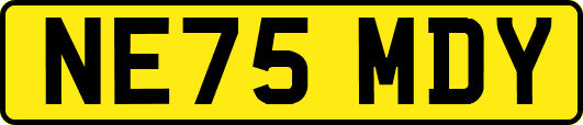 NE75MDY