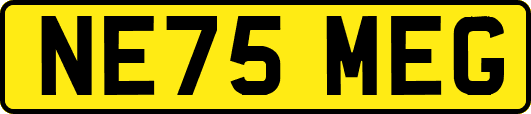 NE75MEG