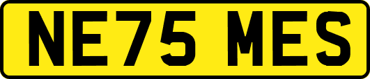NE75MES
