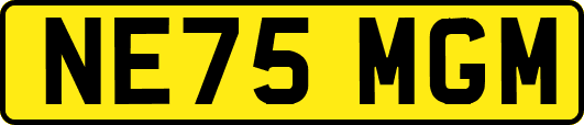 NE75MGM
