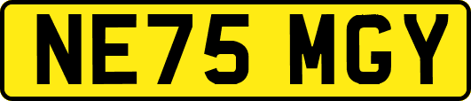 NE75MGY