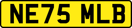 NE75MLB