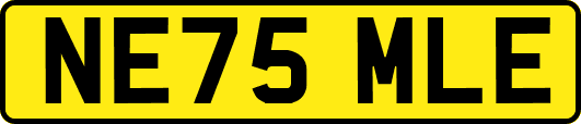 NE75MLE