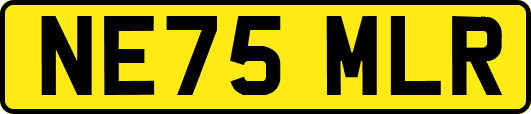 NE75MLR