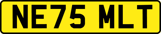 NE75MLT