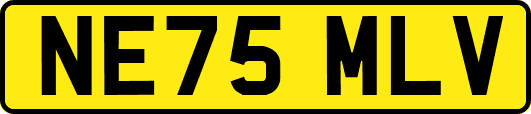NE75MLV