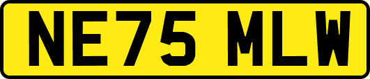 NE75MLW