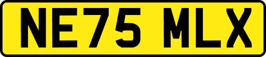 NE75MLX