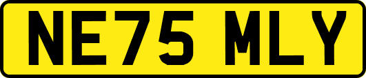 NE75MLY