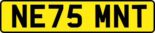 NE75MNT
