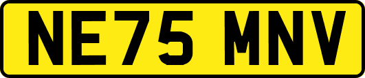 NE75MNV