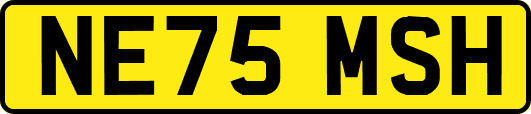 NE75MSH