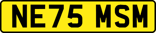 NE75MSM