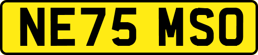 NE75MSO