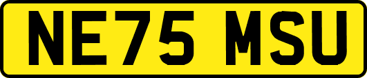 NE75MSU