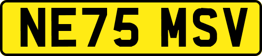 NE75MSV