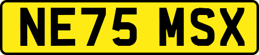 NE75MSX